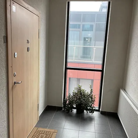 Manto Namai In Center Of Apartament