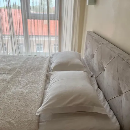 Manto Namai In Center Of Apartament